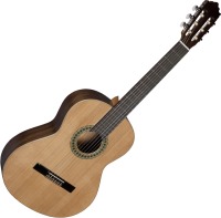 Zdjęcia - Gitara Paco Castillo Model 201 