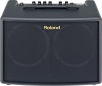 Zdjęcia - Wzmacniacz / kolumna gitarowa Roland AC-60 