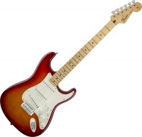 Zdjęcia - Gitara Fender Standard Stratocaster Plus Top 