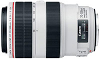 Об'єктив Canon 70-300mm f/4.0-5.6L EF IS USM 