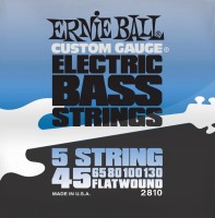 Фото - Струни Ernie Ball Flatwound 5-String Bass 45-130 