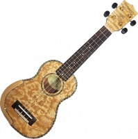 Zdjęcia - Gitara Parksons UK21FS 