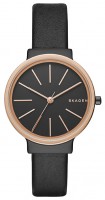 Наручний годинник Skagen SKW2480 