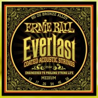 Фото - Струни Ernie Ball Everlast Coated 80/20 Bronze 13-56 