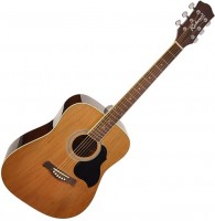 Gitara Richwood RD-12 