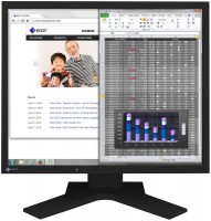 Monitor Eizo FlexScan S1934 19 "  czarny