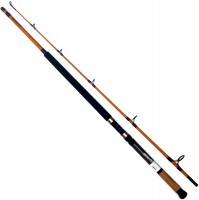 Фото - Вудилище Daiwa FT Boat FTB702MF 