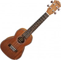 Zdjęcia - Gitara Fzone FZU-06M 