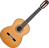 Zdjęcia - Gitara Manuel Rodriguez FC Abeto Spruce 