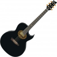 Гітара Ibanez EP5 