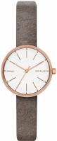 Фото - Наручний годинник Skagen SKW2644 