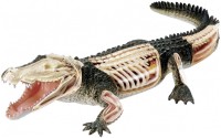 Zdjęcia - Puzzle 3D 4D Master Crocodile Anatomy Model 26114 