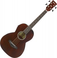 Фото - Гітара Ibanez AVNB1E 