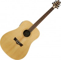 Zdjęcia - Gitara Peavey DW-3 Acoustic 