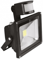 Zdjęcia - Naświetlacz LED / lampa zewnętrzna Eurolamp COB LED-FL-10 (sensor) 