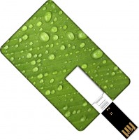 Фото - USB-флешка GOODRAM Plastic Credit Card 32 ГБ