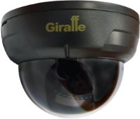 Zdjęcia - Kamera do monitoringu Giraffe GF-D4322HD 