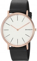 Наручний годинник Skagen SKW6430 