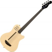 Zdjęcia - Gitara Godin A4 Fretless 