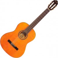 Gitara Valencia VC102 