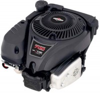 Zdjęcia - Silnik Briggs&Stratton 700 Series DOV 