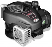 Zdjęcia - Silnik Briggs&Stratton 450E Series 