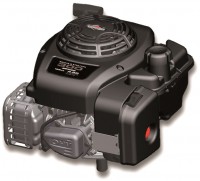 Фото - Двигун Briggs&Stratton 300 Series 