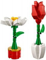 Zdjęcia - Klocki Lego Flower Display 40187 