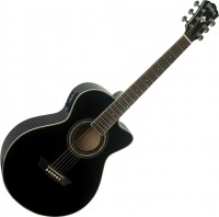 Gitara Washburn EA10 