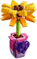 Фото - Конструктор Lego Friendship Flower 30404 