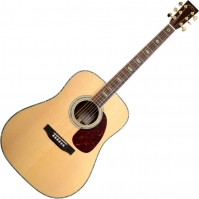 Zdjęcia - Gitara Sigma DR-41 