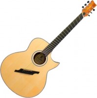 Zdjęcia - Gitara Trembita Leoton MS-1 