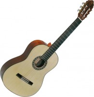 Zdjęcia - Gitara Valencia CG200 