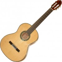 Zdjęcia - Gitara Valencia CG195+ 