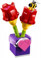 Klocki Lego Tulips 30408 