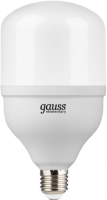 Фото - Лампочка Gauss LED ELEMENTARY T100 32W 4000K E27 63223 