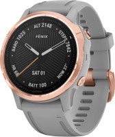 Smartwatche Garmin Fenix 6S  Sapphire