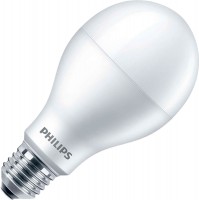 Zdjęcia - Żarówka Philips LEDBulb A67 14.5W 6500K E27 