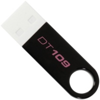 Zdjęcia - Pendrive Kingston DataTraveler 109 16Gb 