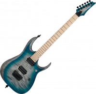 Електрогітара / бас-гітара Ibanez RGD61AL 