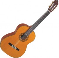 Zdjęcia - Gitara Valencia CG170 