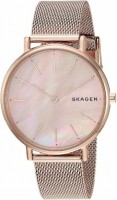 Фото - Наручний годинник Skagen SKW2732 