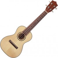 Zdjęcia - Gitara Prima M310C 