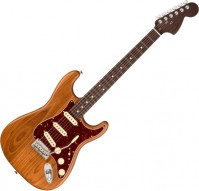 Фото - Електрогітара / бас-гітара Fender Limited Edition American Professional Stratocaster 
