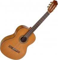 Zdjęcia - Gitara Salvador Cortez CC-06 