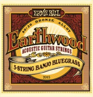 Струни Ernie Ball Earthwood 5-String Mandolin 80/20 Bronze 9-20 