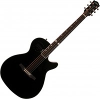 Zdjęcia - Gitara Godin MultiAc Steel Doyle Dykes Signature Edition 