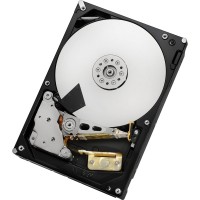 Zdjęcia - Dysk twardy Hitachi HGST Ultrastar 5K3000 HUA5C3020ALA640 2 TB