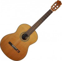 Gitara Salvador Cortez CC-10 
