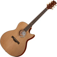 Zdjęcia - Gitara Baton Rouge X6C/AC 